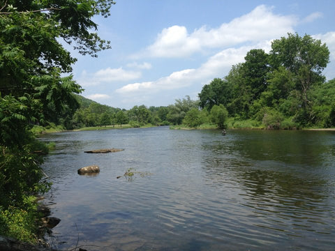 Upper West Branch of the Delaware River - Fly Fishing