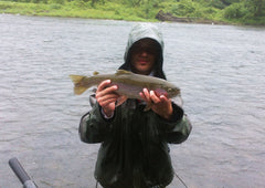 Catskills - Fly Fishing - Rainbow Trout
