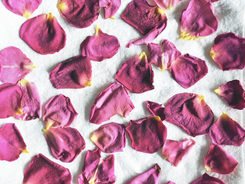 How to Dry Out Flower Petals and Rose Petals | Remembrance Jewelry | Megan Fenno | FENNOfashion 