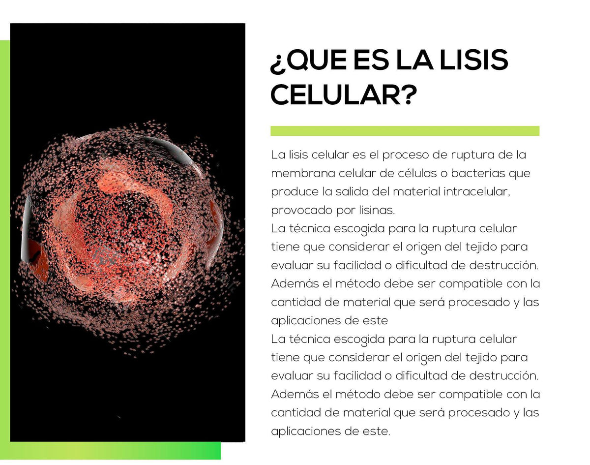 191 Que Es La Lisis Celular Sonamex Riset 0511