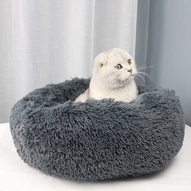 pet cushion bed