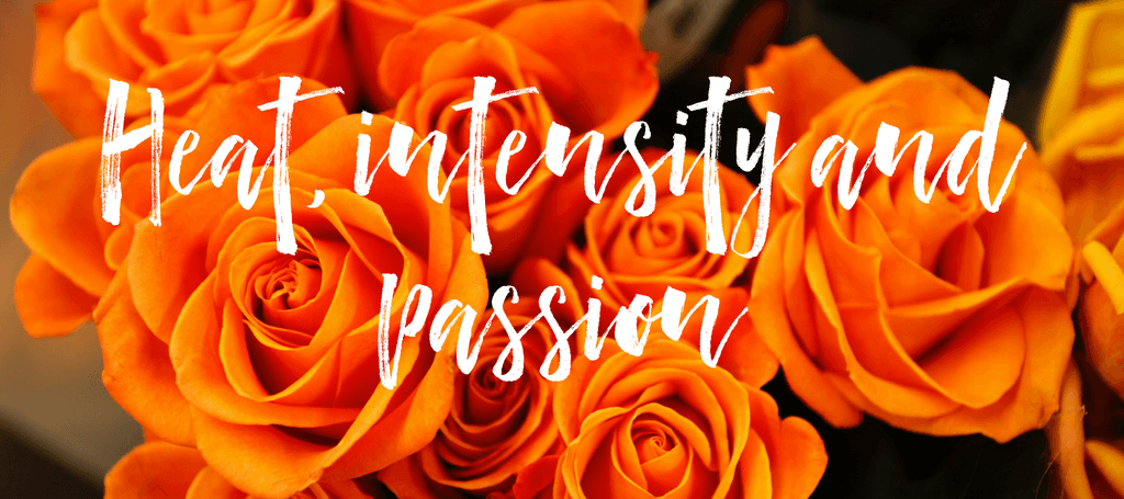 The meaning of orange roses & single roses. Orange roses with text reading "Heat, Intensity and Passion"