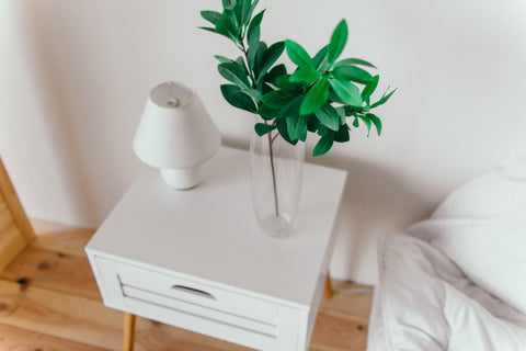 lamp and houseplant