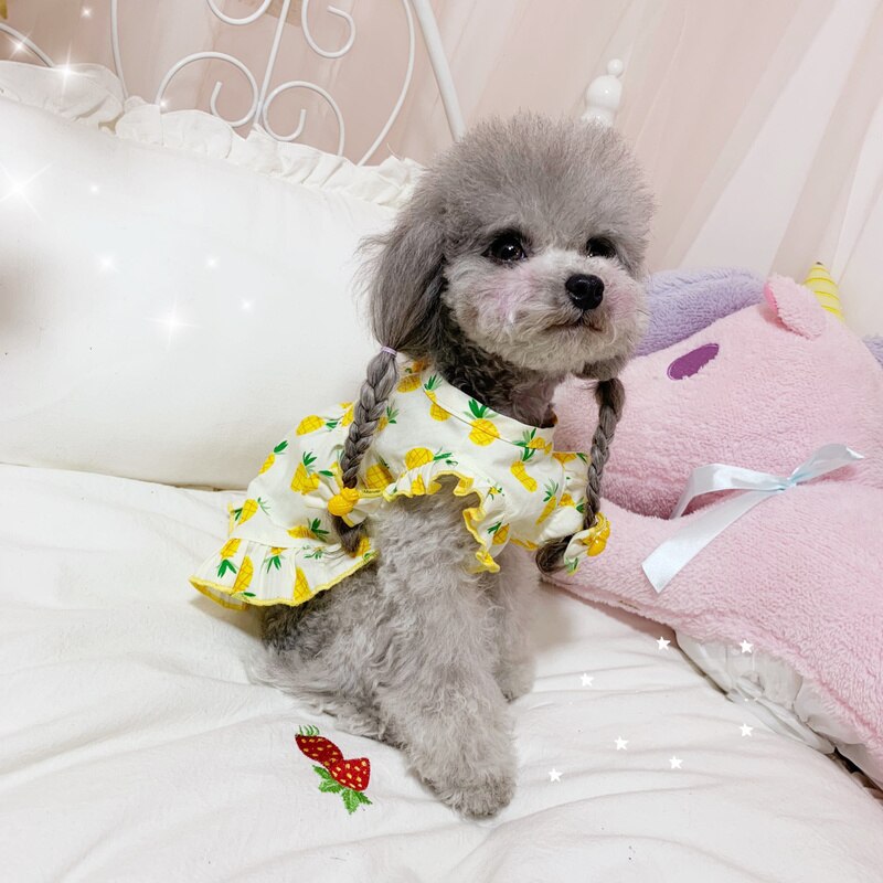 cute puppy clothes