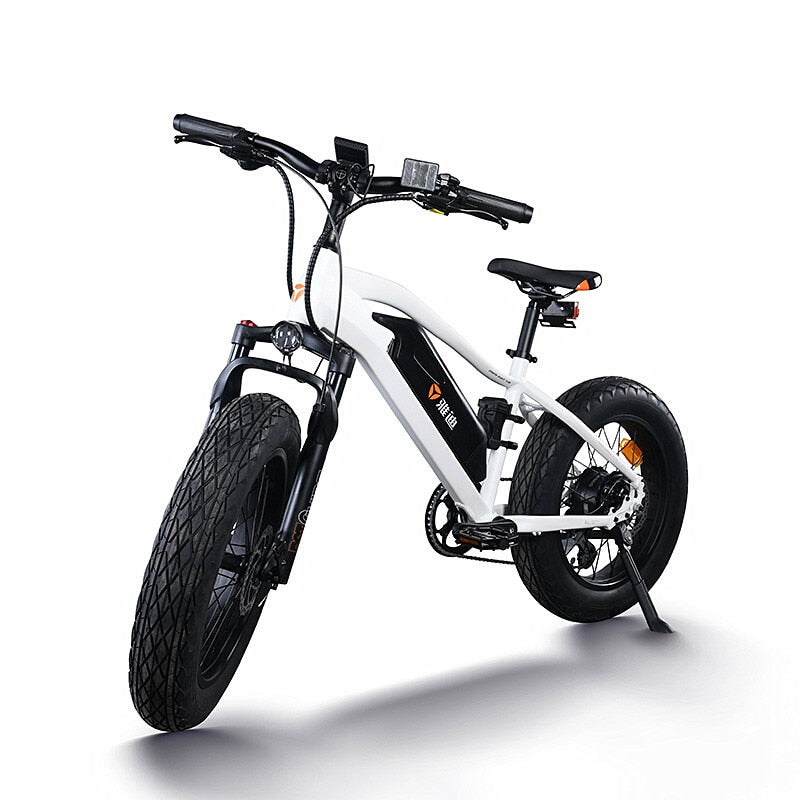 20 inch e bike