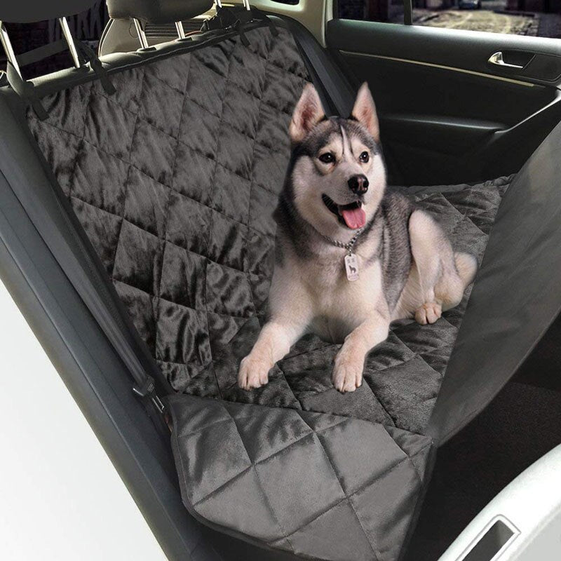 back seat dog carrier