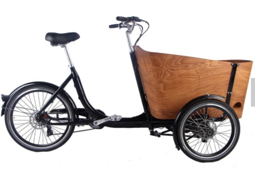 pashley tricycle with two child seats