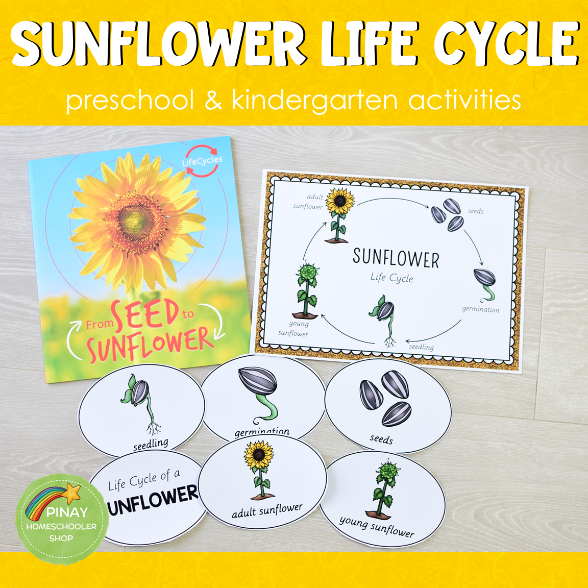 sunflower life cycle printable
