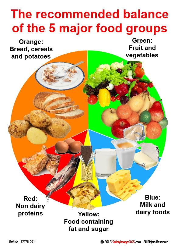 healthy-eating-safety-poster-5-major-food-groups-safetyimages365