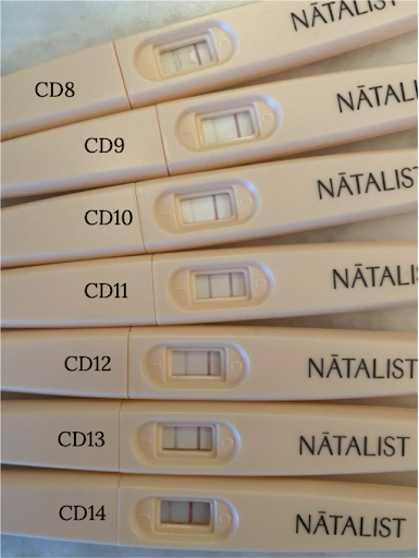 bunch of Natalist pregnancy test kit