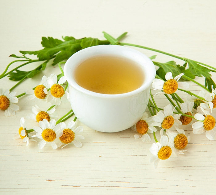 Image result for Chamomile