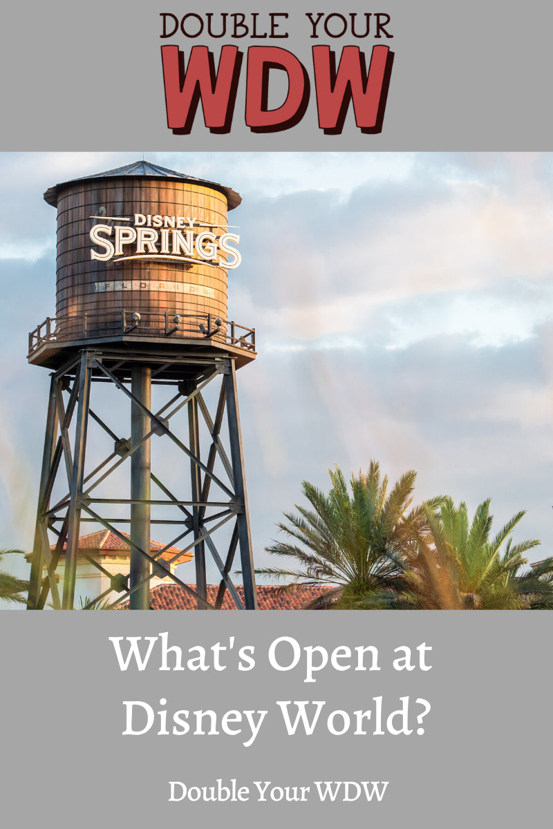 What is Open at Disney World?