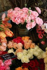 bouquets-asters-aymee-sur-mesure