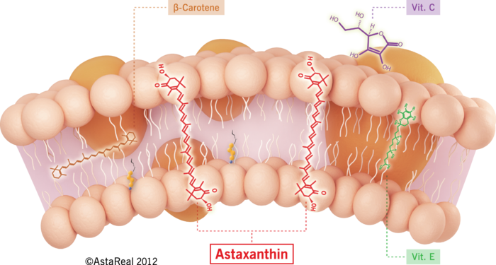 what astaxanthin does for our skin