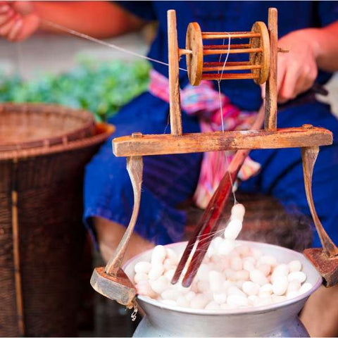 Mulberry silk cocoon processing 