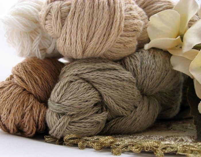 Organic cotton yarn | Muezart