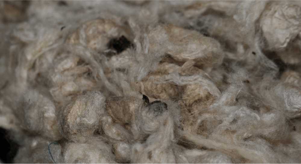 Silk rearing methods | Muezart