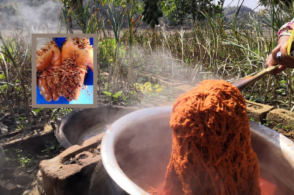 creating orange color from the annatto seed- bixa orellana