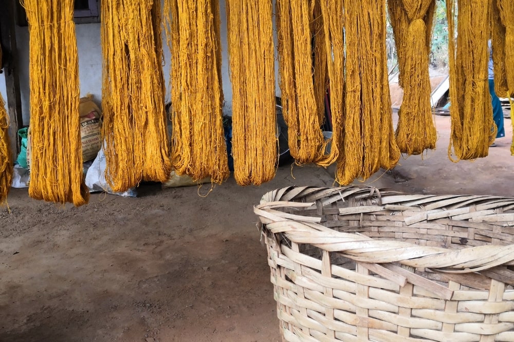 turmeric natural color dye  for eri silk yarn