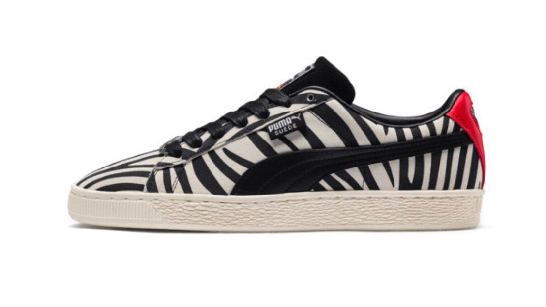 puma zebra