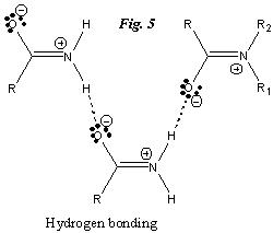 Intermolecular forces between resonance structures of amide