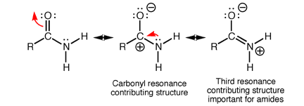 Amide Resonance Structure