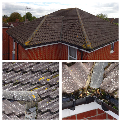 Roof survey of guttering, flashing and tiles by camera pole from Vantage Point Products
