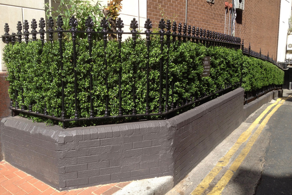 The Westbury Hotel Artificial Boxwood Hedging - Trees Company