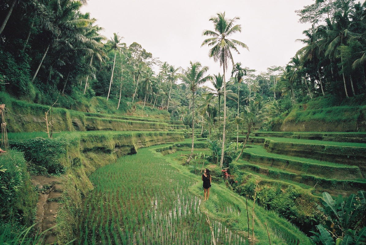 Ashley in the rice terraces in Bali.