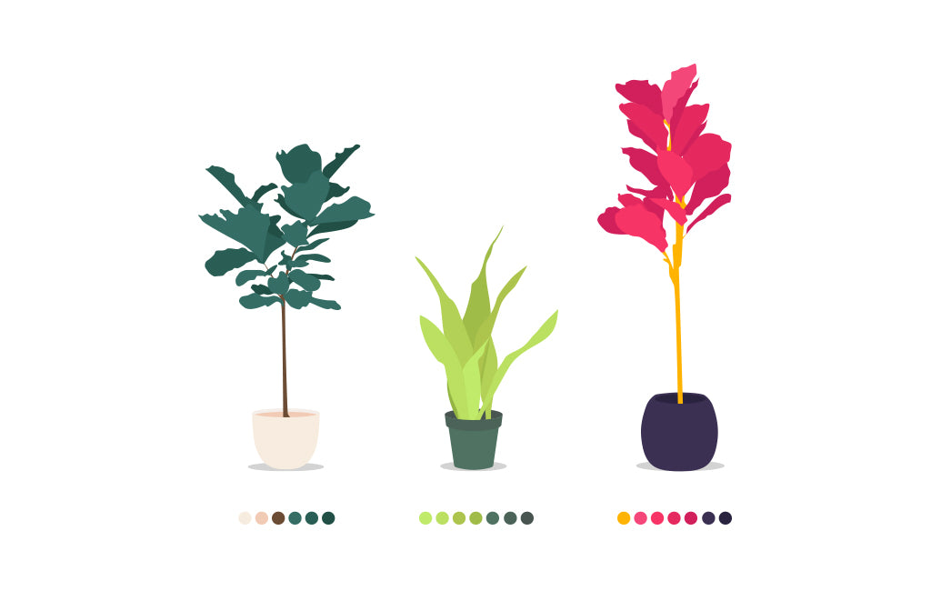 Potted Plant Illustration