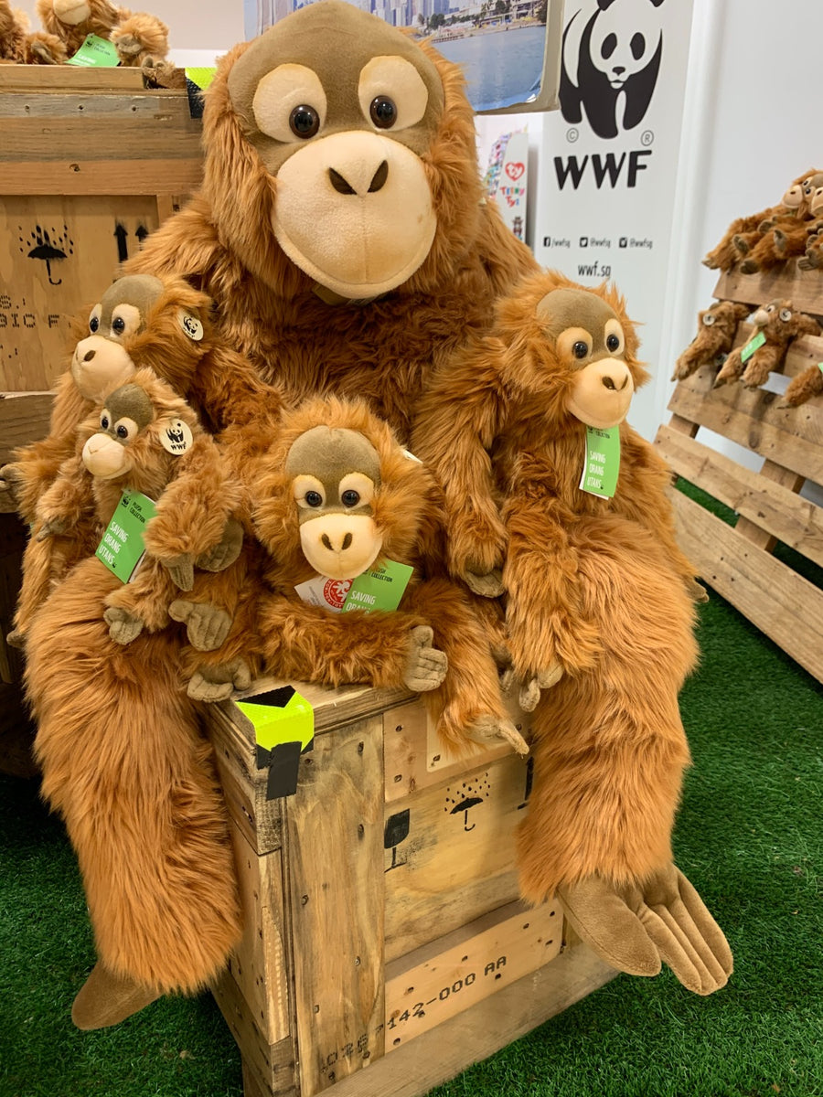 Huggable Orangutan Jumbo Plush - 100cm – WWF-Singapore