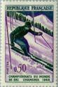 Ski Slalom