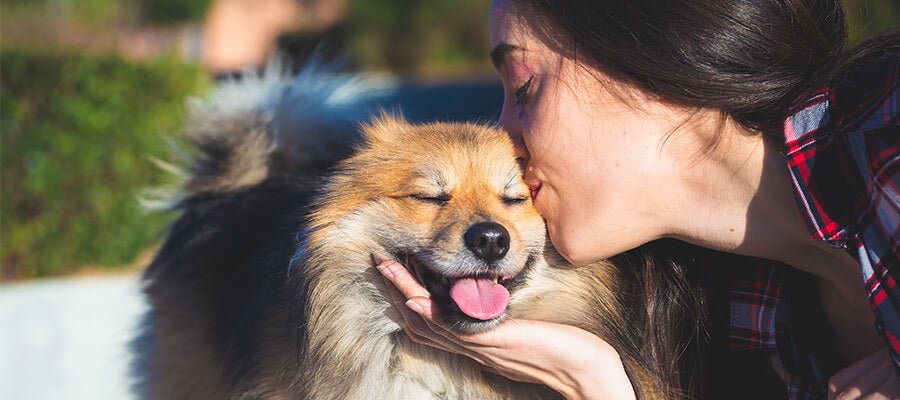 do dogs kiss to show affection