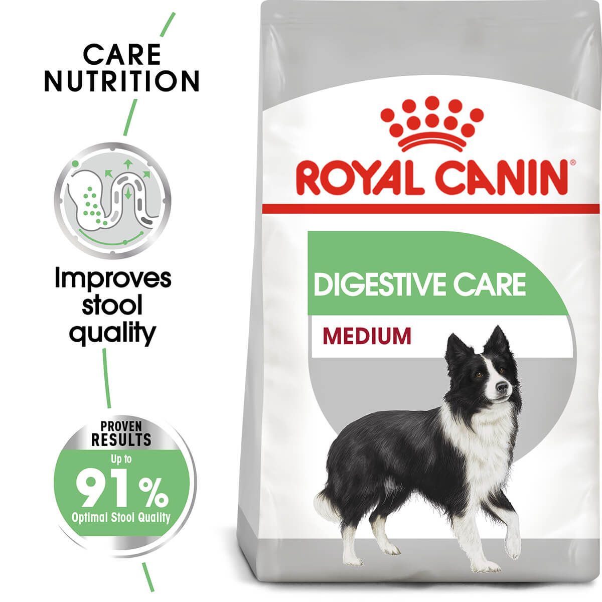 digestive health dog food