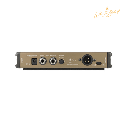 LR BAGGS D.I. WITH TUNER | LR Braggs