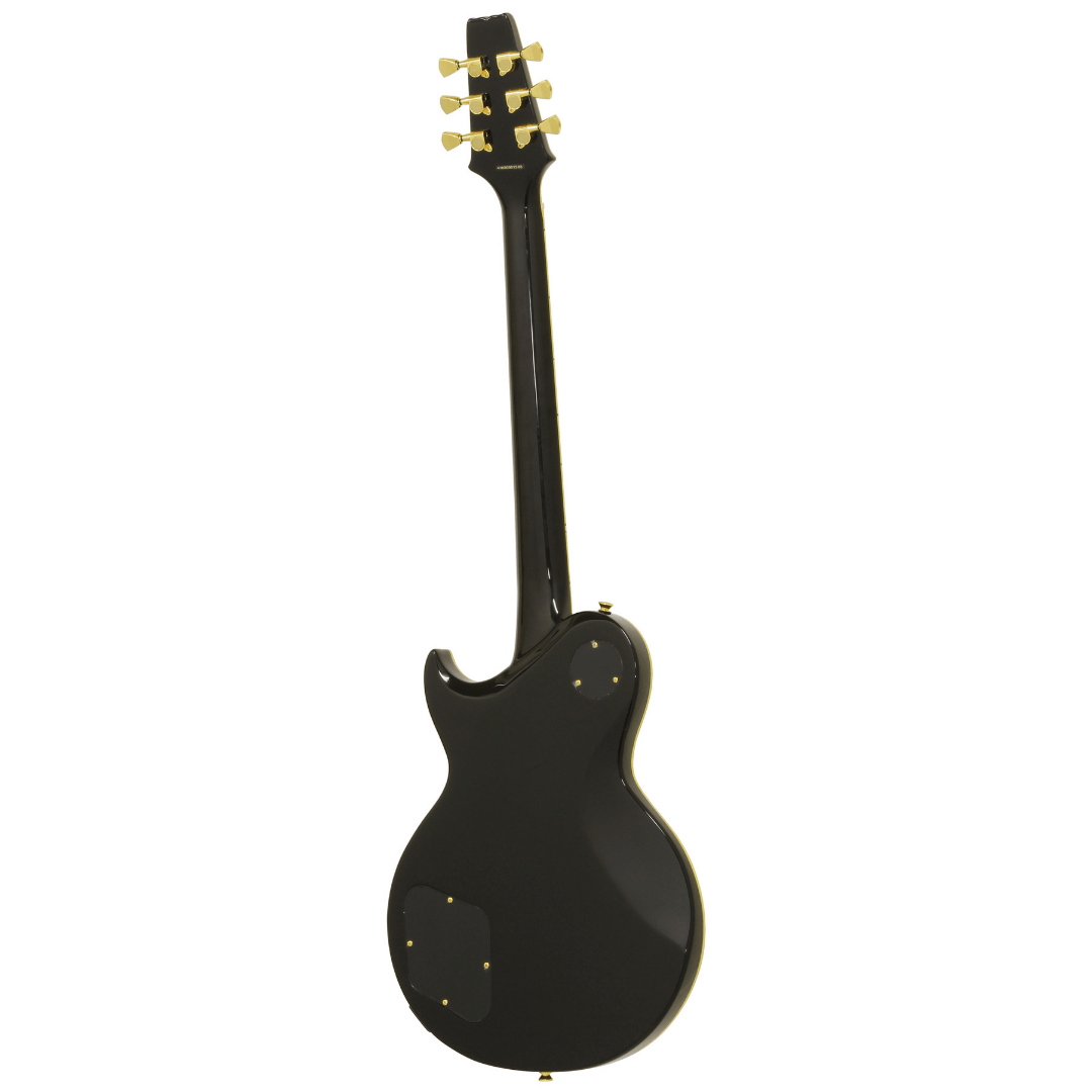 Aria Pro II | PE-350CST Electric Guitar| Aged BLACK | Aria Pro II