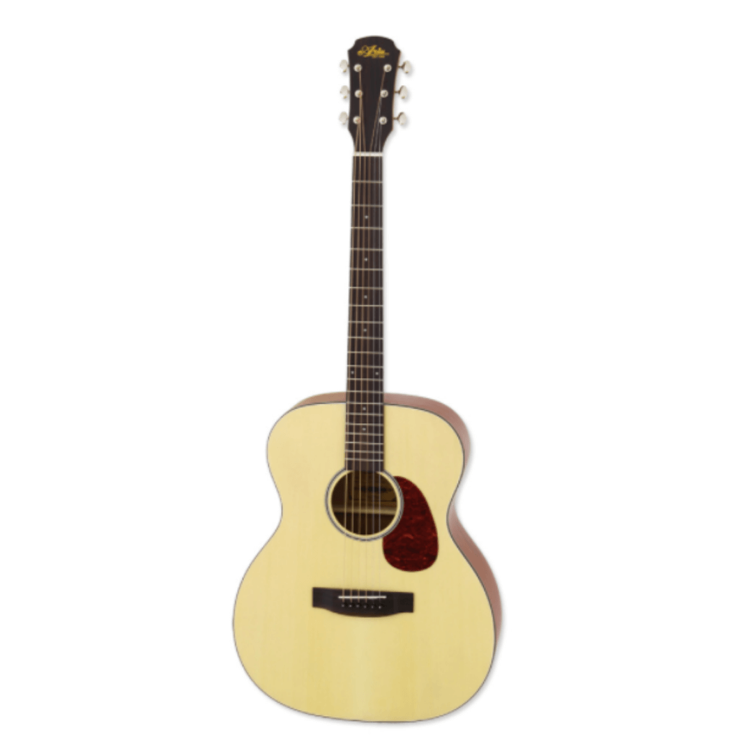 Aria| ARIA-111 -Dreadnought Model-Matte Black | Aria