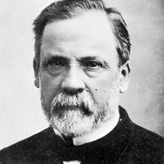 Louis Pasteur-Star Statues