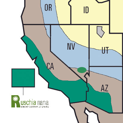 Ruschia Nana Succulent growing climates map California, Arizona, and Nevada