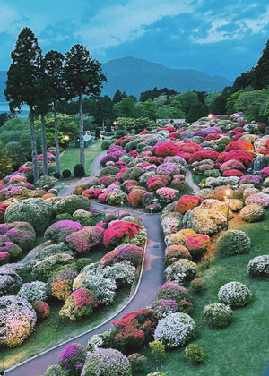 Erlebniswelt-fliegenfischenShops Summer 2022 - Japanese Azalea Gardens