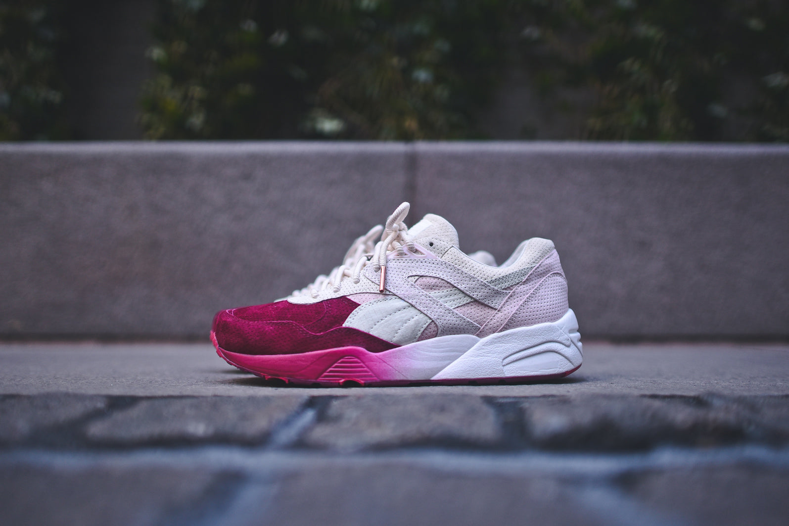 puma sakura