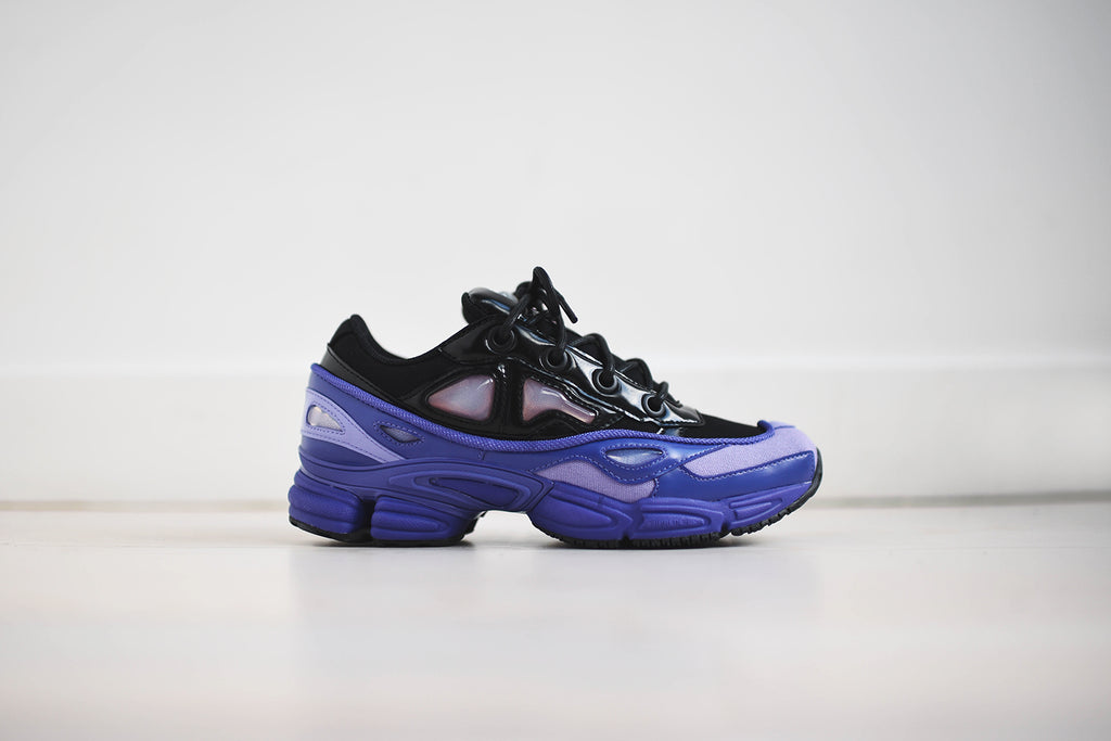 purple raf simons