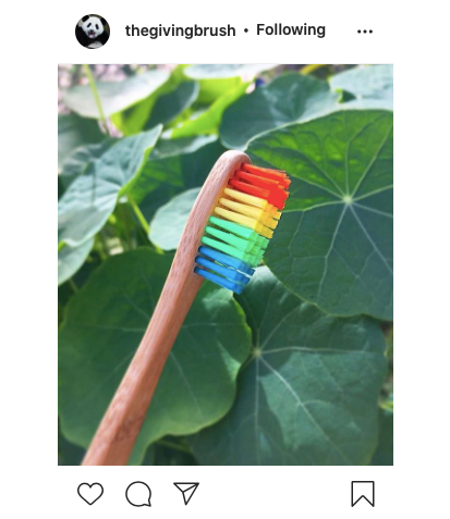 The Giving Brush Rainbow Eco-Friendly Toothbrush