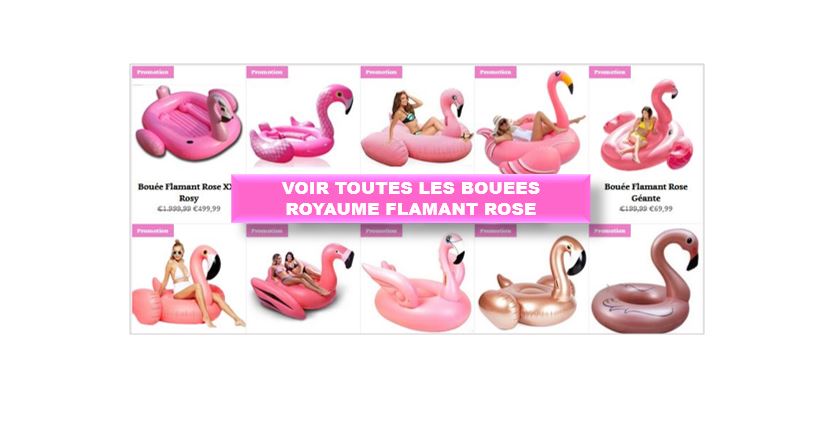 boutique spécialisée flamant rose bouee