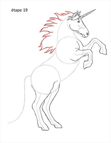 étape 19 dessin de licorne