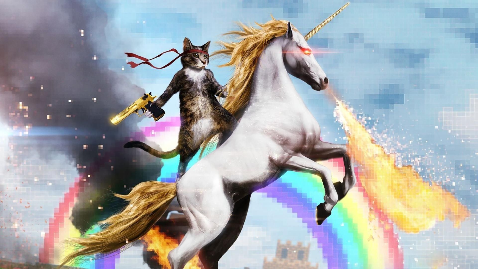 fond d ecran d un chat sur une licorne