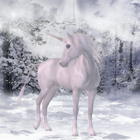 vraie licorne dans la neige