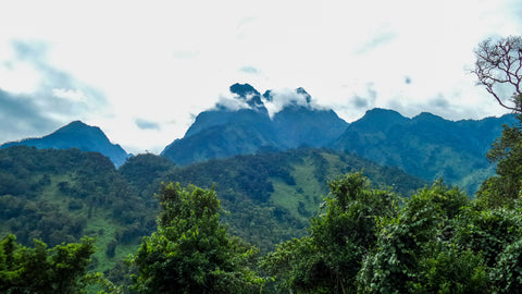 mont rwenzori