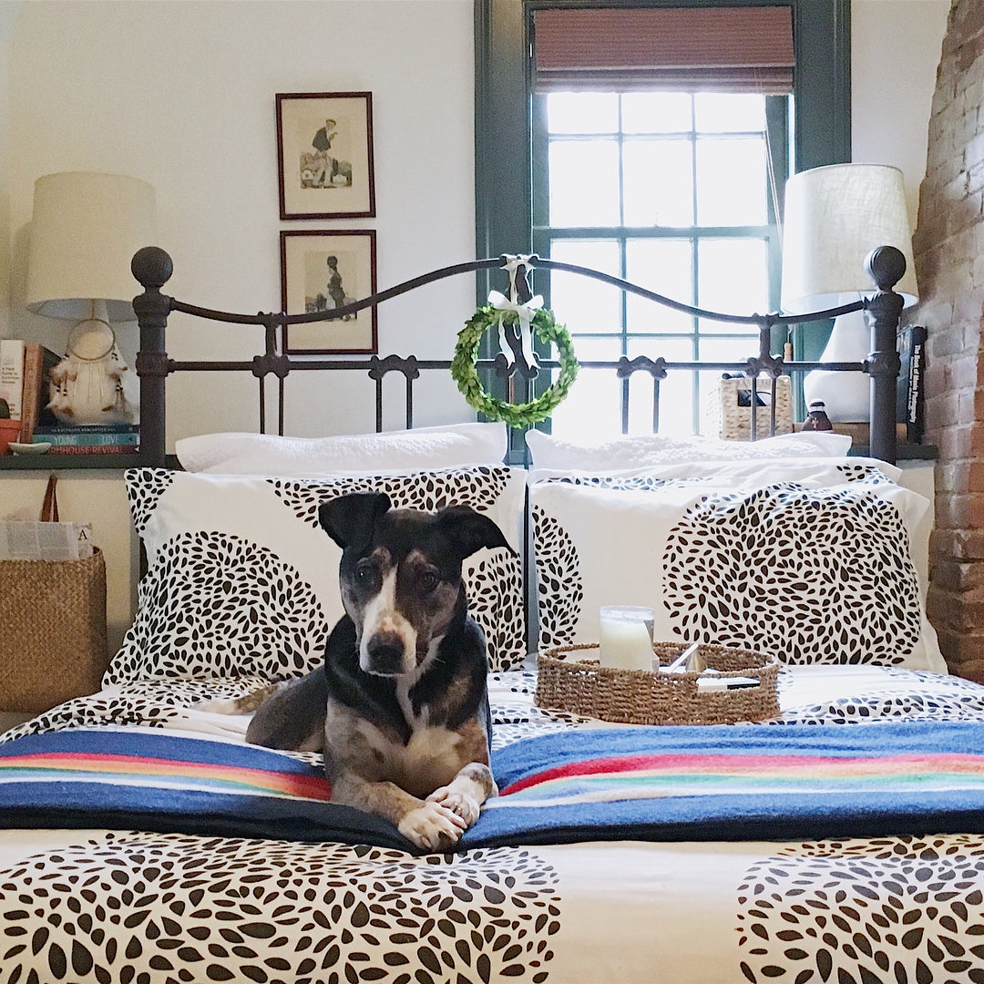 Take Your Dog to Work Day | Topiary White bedding | Wit & Delight | Hygge & West