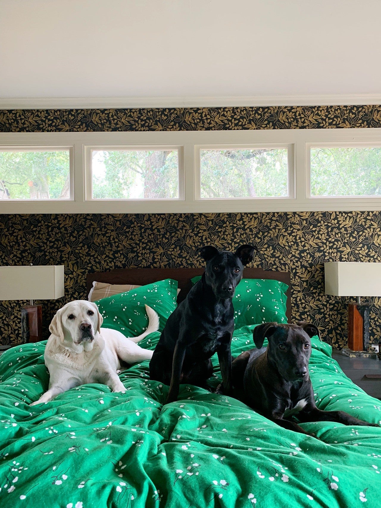 Take Your Dog to Work Day | Wildflower Emerald bedding | Charlotte Janvier | Hygge & West
